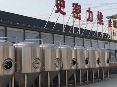 琼海精酿啤酒设备厂—如何判断精酿啤酒设备的密封件需要更换？